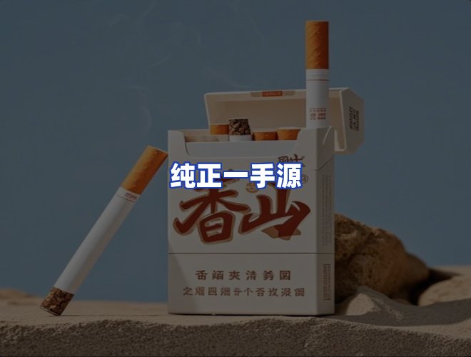 专业团队